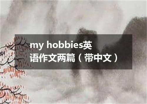 my hobbies英语作文两篇(带中文)