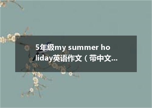 5年级my summer holiday英语作文(带中文)