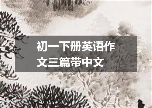 初一下册英语作文三篇带中文