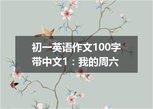 初一英语作文100字带中文1:我的周六