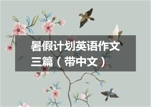 暑假计划英语作文三篇(带中文)