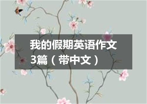 我的假期英语作文3篇(带中文)