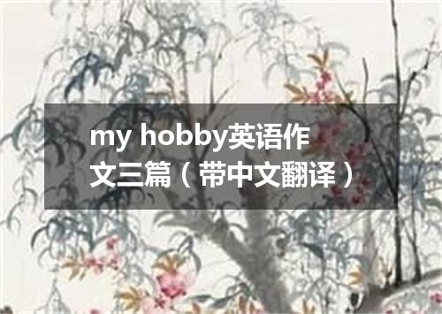 my hobby英语作文三篇(带中文翻译)
