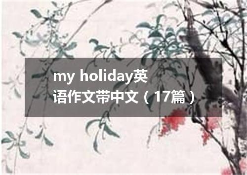 my holiday英语作文带中文(17篇)