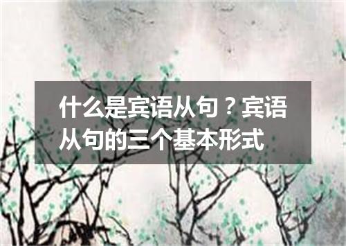 什么是宾语从句?宾语从句的三个基本形式