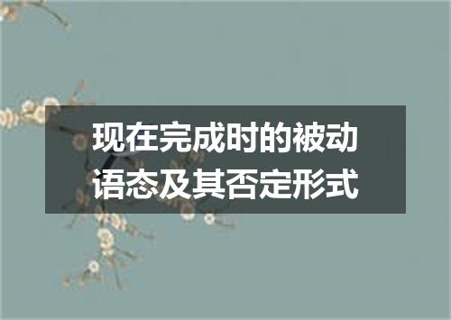 现在完成时的被动语态及其否定形式