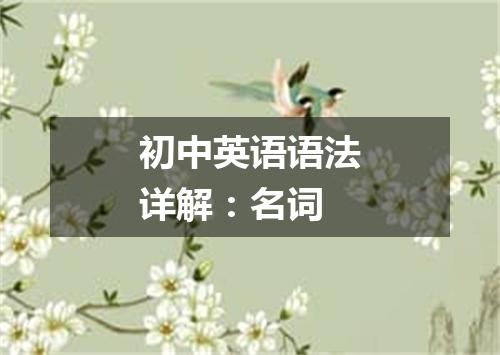 初中英语语法详解：名词