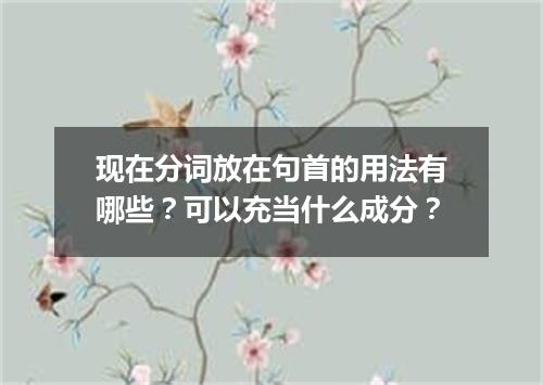 现在分词放在句首的用法有哪些?可以充当什么成分?