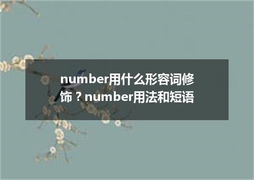 number用什么形容词修饰?number用法和短语