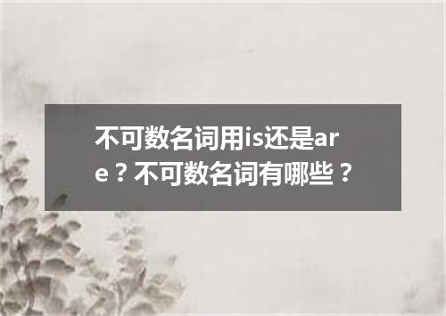不可数名词用is还是are?不可数名词有哪些?