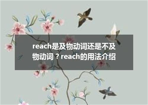 reach是及物动词还是不及物动词?reach的用法介绍