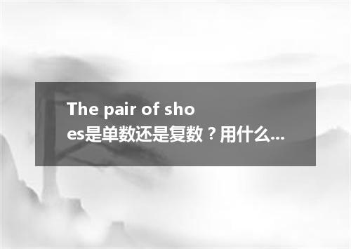 The pair of shoes是单数还是复数?用什么be动词?
