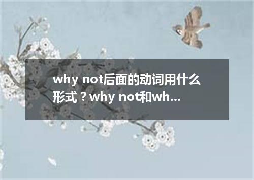 why not后面的动词用什么形式?why not和why don't的区别