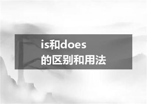 is和does的区别和用法