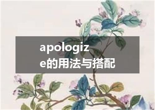 apologize的用法与搭配