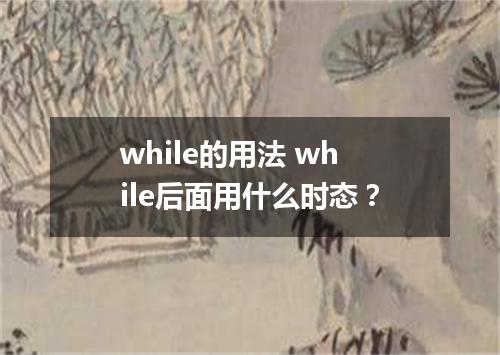 while的用法 while后面用什么时态?