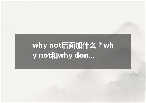 why not后面加什么?why not和why don't的区别