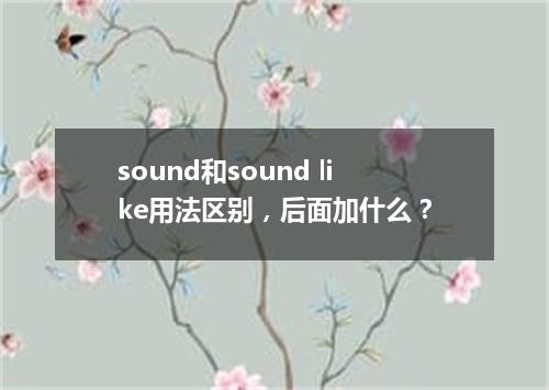 sound和sound like用法区别,后面加什么?