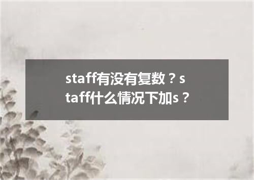 staff有没有复数?staff什么情况下加s?
