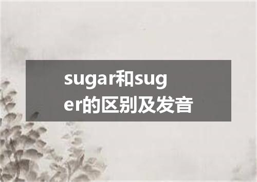 sugar和suger的区别及发音