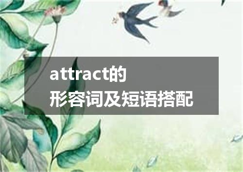 attract的形容词及短语搭配
