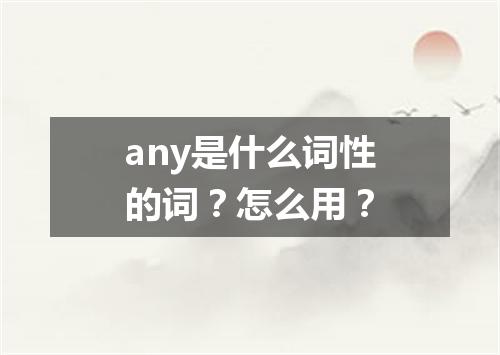 any是什么词性的词?怎么用?
