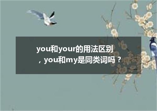 you和your的用法区别,you和my是同类词吗?