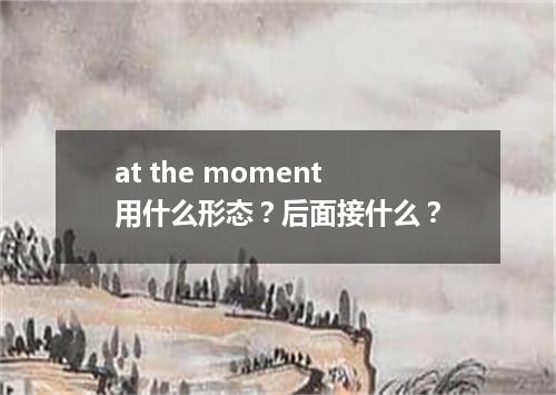 at the moment用什么形态?后面接什么?