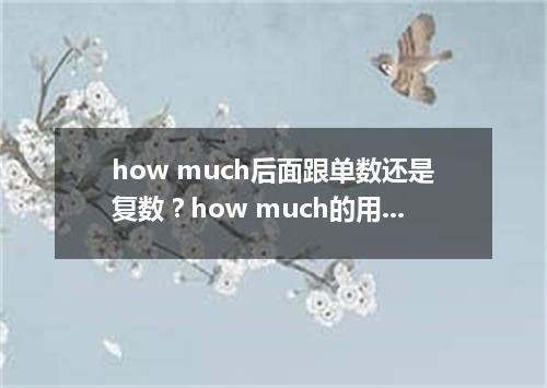 how much后面跟单数还是复数?how much的用法