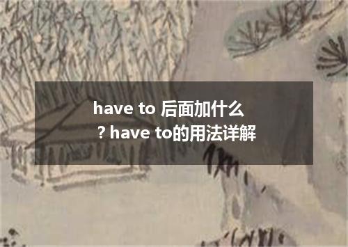 have to 后面加什么?have to的用法详解