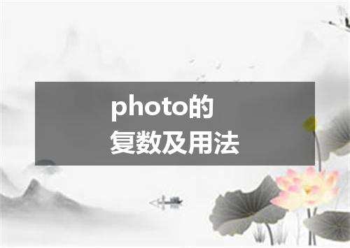 photo的复数及用法