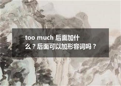 too much 后面加什么?后面可以加形容词吗?