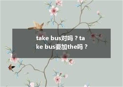 take bus对吗?take bus要加the吗?
