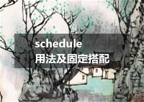schedule用法及固定搭配