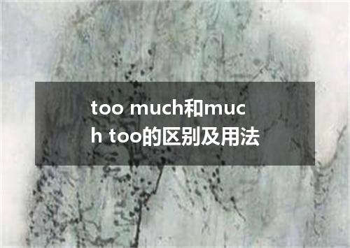 too much和much too的区别及用法