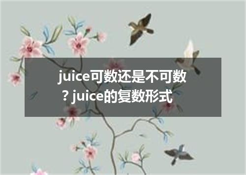 juice可数还是不可数?juice的复数形式