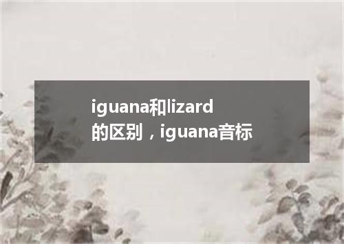 iguana和lizard的区别,iguana音标