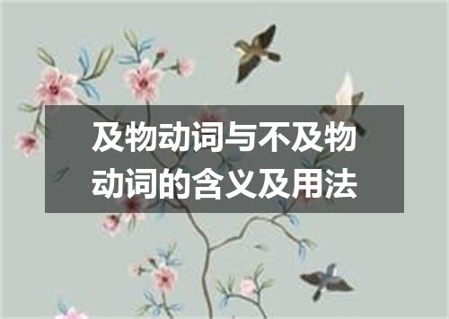 及物动词与不及物动词的含义及用法