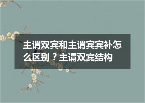 主谓双宾和主谓宾宾补怎么区别?主谓双宾结构