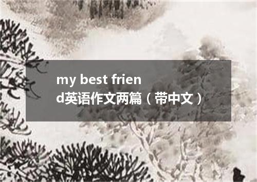 my best friend英语作文两篇(带中文)