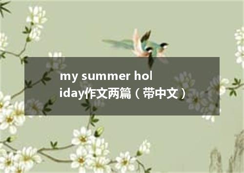 my summer holiday作文两篇(带中文)