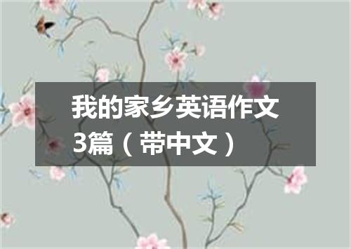 我的家乡英语作文3篇(带中文)