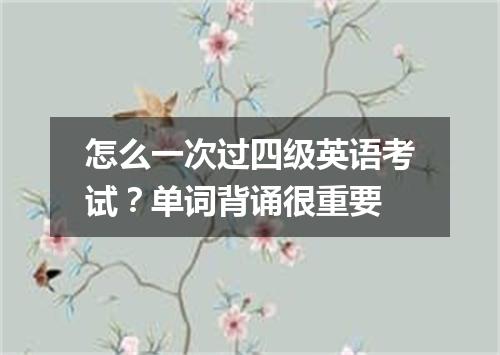 怎么一次过四级英语考试?单词背诵很重要