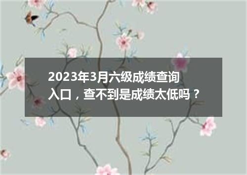 2023年3月六级成绩查询入口,查不到是成绩太低吗?