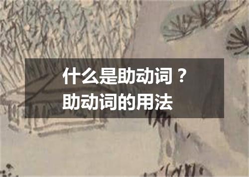 什么是助动词?助动词的用法