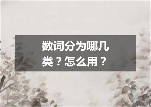 数词分为哪几类?怎么用?