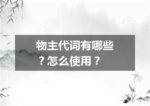 物主代词有哪些?怎么使用?