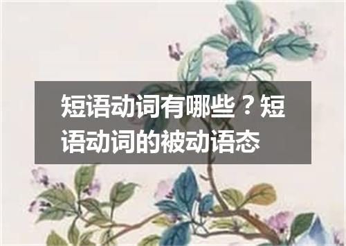 短语动词有哪些?短语动词的被动语态