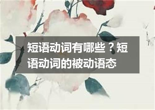 短语动词有哪些?短语动词的被动语态