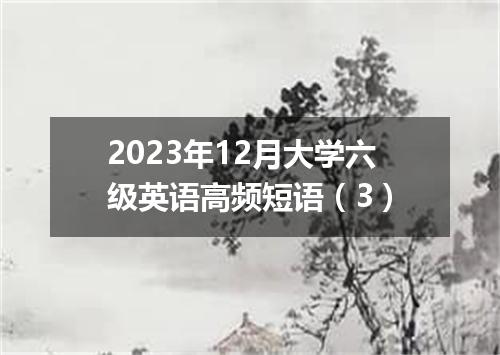 2023年12月大学六级英语高频短语(3)